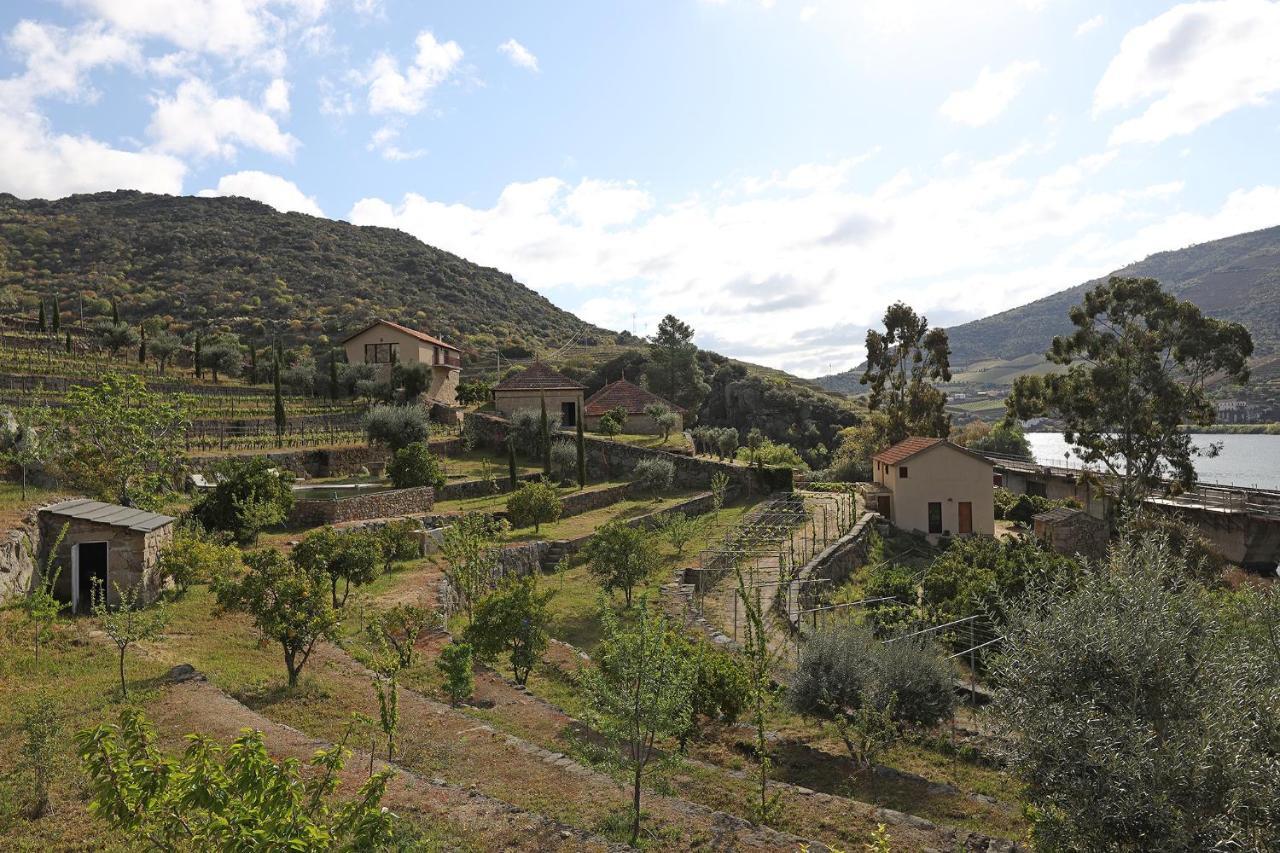 Quinta Da Ferradosa Wines Guest House Sao Joao da Pesqueira Exterior photo