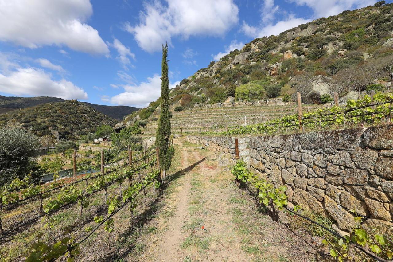 Quinta Da Ferradosa Wines Guest House Sao Joao da Pesqueira Exterior photo